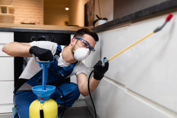 Best Pest Control Near Me in Cornelius, NC