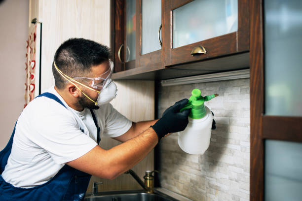 Best Cockroach Control Services  in Cornelius, NC