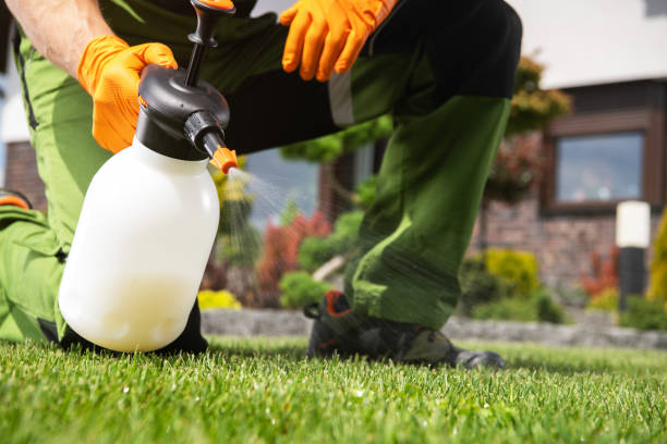 Best Bed Bug Extermination  in Cornelius, NC