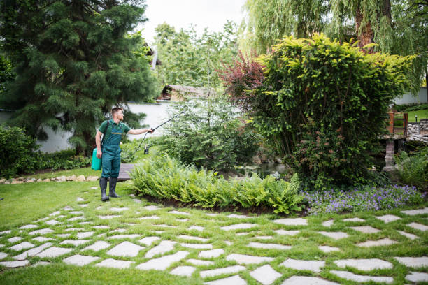 Best Pest Inspection Near Me  in Cornelius, NC