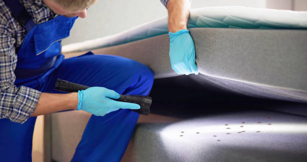 Professional Pest Control in Cornelius, NC