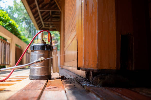 Best Commercial Pest Control Services  in Cornelius, NC